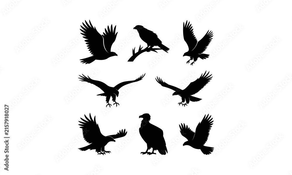 Fototapeta premium Black silhouette of eight crows in flight against white background, bird flying