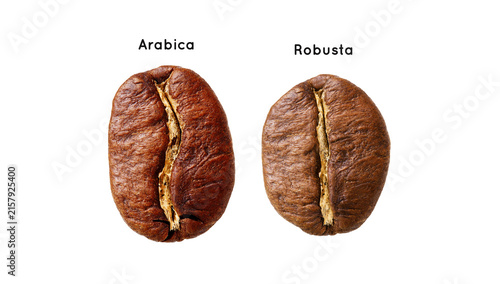 Foto Comparative Analysis of Roasted Arabica and Robusta Coffee Beans 13