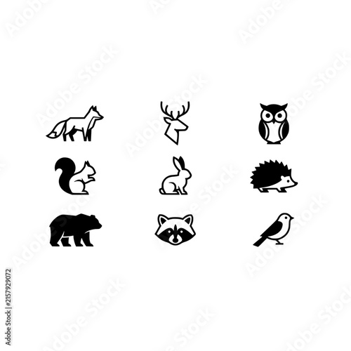 Forest Animals Collection