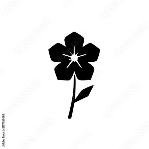 Wildflower Botanical Element