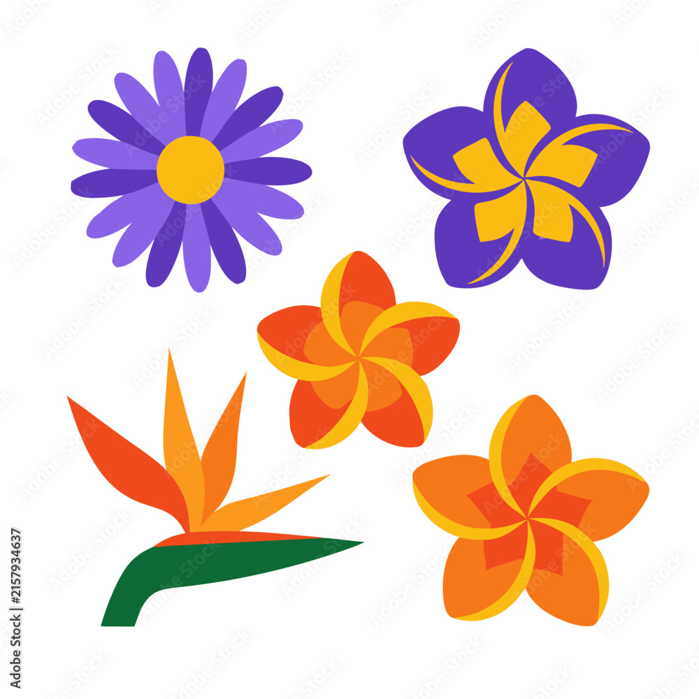Fototapeta premium Colorful Tropical Flower Illustration Collection