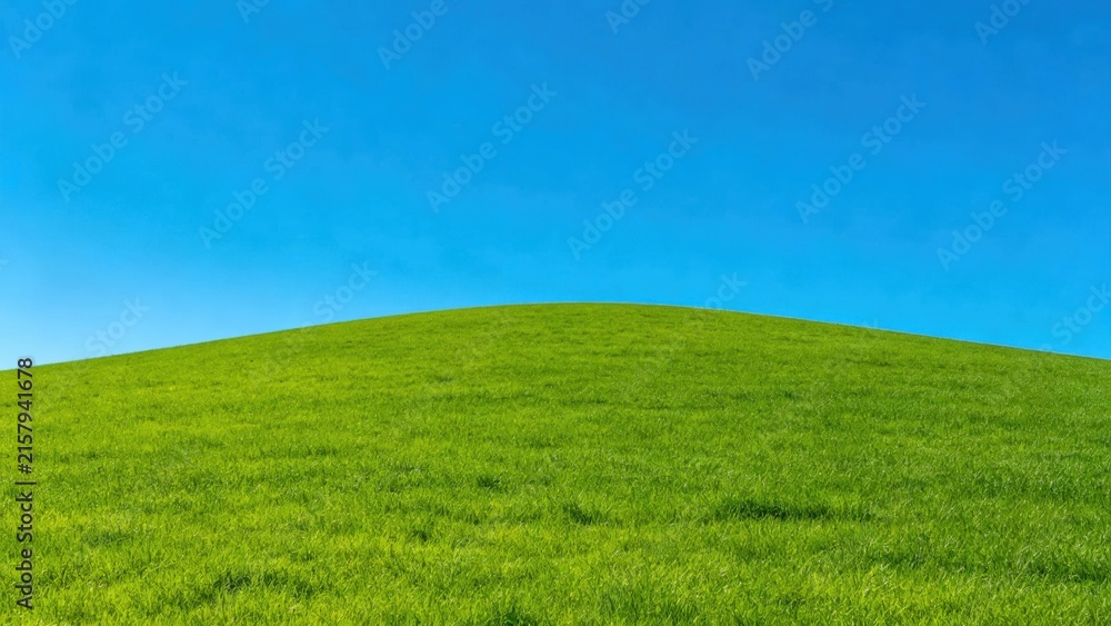 Obraz premium Minimalist Grassy Hill Horizon, Expansive Blue Sky.