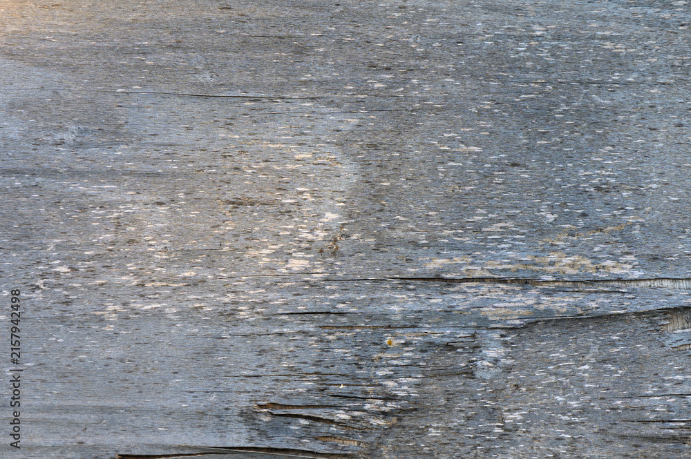 Naklejka premium Wooden texture reflecting natural light creates a serene, rustic ambiance in a quiet outdoor setting