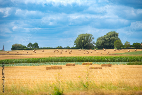 Canvastavla Straw bales scattered across harvested fields in the French countryside under a blue summer sky with clouds