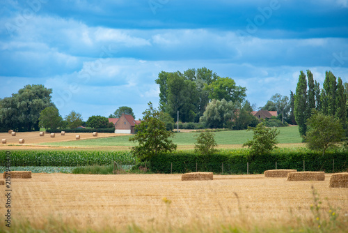 Konstfotografi Straw bales scattered across harvested fields in the French countryside under a blue summer sky with clouds