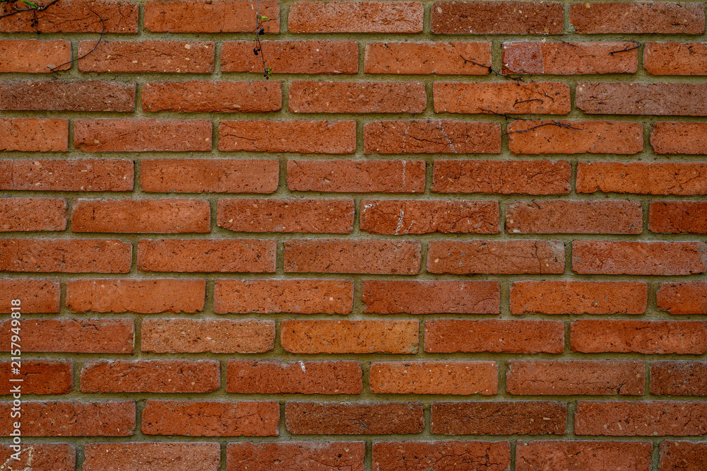 Fototapeta premium Red brick wall texture background close up