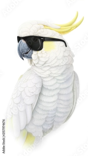 Majestic White Cockatoo Wearing Stylish Black Sunglasses — Elegant Three-Quarter Portrait