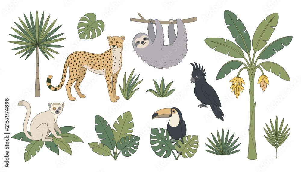 Naklejka premium Tropical Jungle Wildlife Vector Set Featuring Cartoon Sloth, Cheetah, Lemur, Toucan, and Exotic Banana Palm Trees for Safari Nature Children Book Illustrations