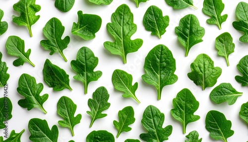 Dense repeating pattern of green rucola leaves, isolated on white, flat lay botanical design
