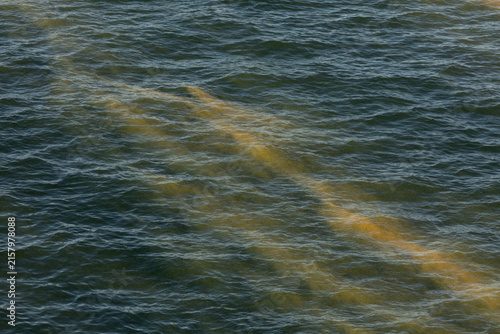 Cuadro en lienzo Blaualgenteppiche auf der Ostsee während der Fährfahrt von Trelleborg nach Rostock im August