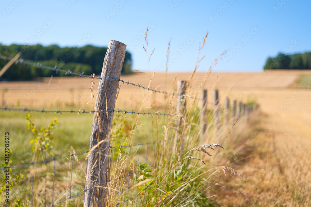Naklejka premium Wooden fence with barbed wire for livestock protection on a farm. Summer countryside landscape with blurred fields and meadows.