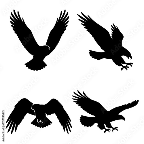 Obraz na płótnie eagle vector illustration