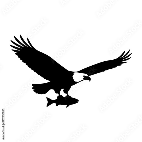 Obraz na płótnie eagle in flight