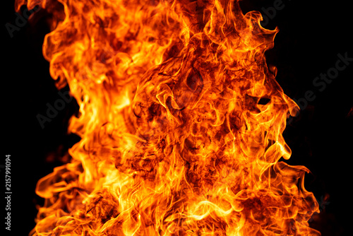 Fotografie Inferno burns on black background