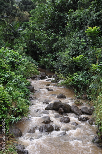 Stream rushing through tropical forest 