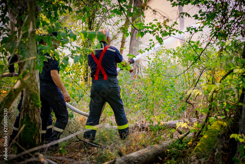 Firefighters spray water, they try extinguish a forest fire