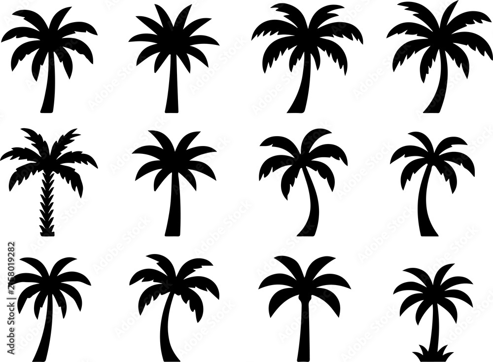 Naklejka premium Set of black silhouette palm trees different shapes vector illustration