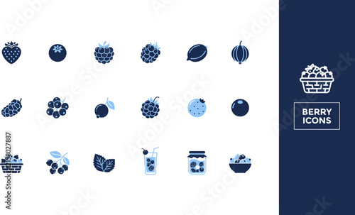 Blue Berry Fruit Icon Set with Various Summer Berries and Food-Related Vector Illustrations