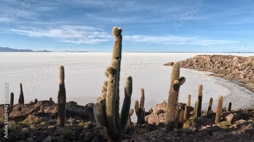 Surreal landscape panning across the isla incahuasi, revealing giant cacti and the vast, endless white salt flats of salar de uyuni. Uyuni salt flats, bolivia