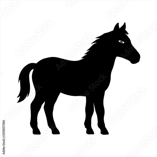 Horse lovers 