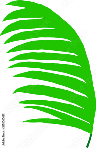 야자수잎06