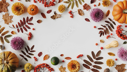 Floral Butterfly Background with Colorful Flowers, Leaves and Decorative Border for Spring and Summer Greeting Card Design