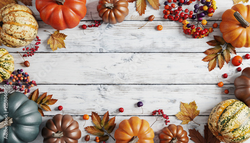 Autumn Thanksgiving Frame with Pumpkins and Leaves, Fall Harvest Border Illustration for Halloween Holiday Card, Seasonal Vector Design and Decoration