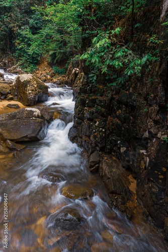 Vertical long exposure shot of a forest stream cascading through rocks and cliff face.