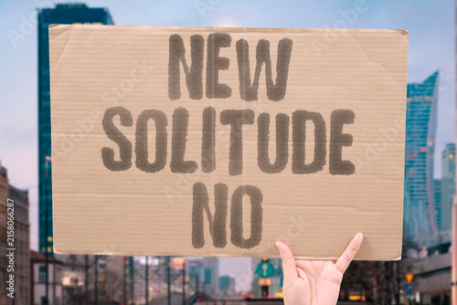 Картината върху платно "New Solitude No" My own company has become a cherished space