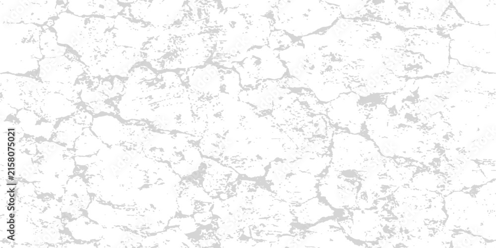 Fototapeta premium Cracked dry earth texture in bright overhead daylight with subtle grey tonal variations