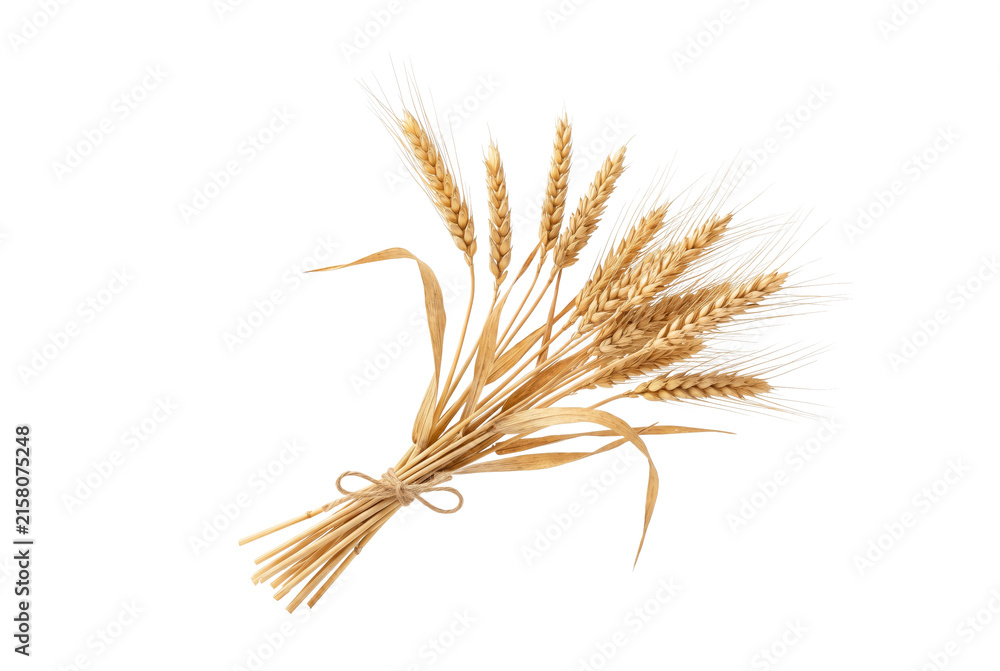 Fototapeta premium Sheaf of Ripe Golden Wheat Stalks Tied with Natural Twine