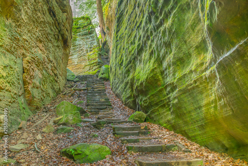  Beautiful misty morning at Cantwell Cliffs in Hocking Hills State Park, Ohio