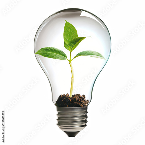 Green Plant Growing Inside Light Bulb Isolated on Transparent Background
