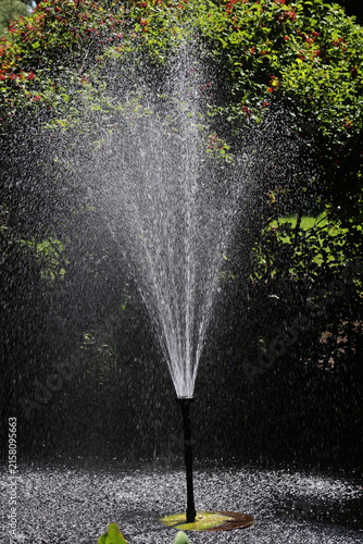 Bild auf Leinwand Water fountain spraying droplets in garden pond with green trees in background