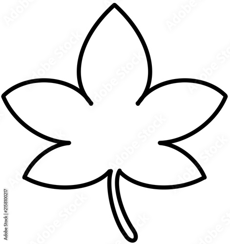 maple leaf