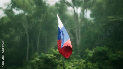 Russian Flag Waving Proudly over a Lush Green Forest Background