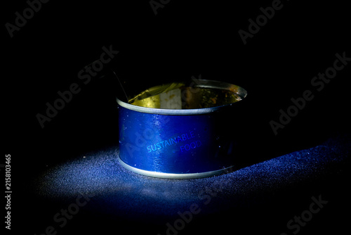 Sustainable food concept empty tin can