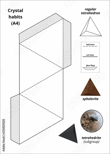 Foto Printable A4 regular tetrahedron paper model net template for crystallography an