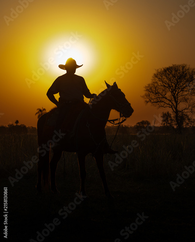 Cowboy on a ranch rounding cattle 