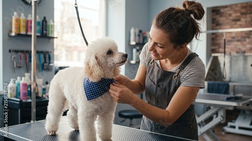Pampering a Poodle: A dedicated groomer lovingly adjusts a bandana on a fluffy white poodle in a professional grooming salon, showcasing the bond between caregiver and pet.