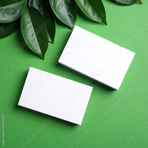 two blank business cards with green leaves on green background