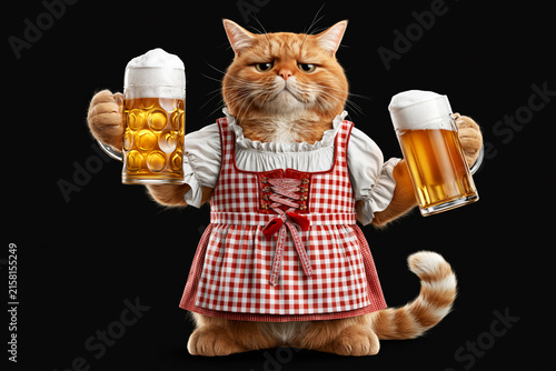Ginger cat in red checkered Bavarian dirndl holding two beer mugs isolated on black background, Oktoberfest concept