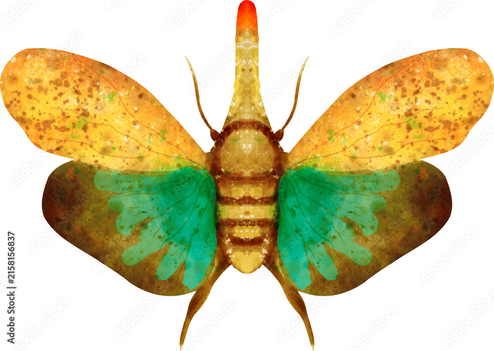 Naklejka premium Red Nose Lanternfly Watercolor Clip Art