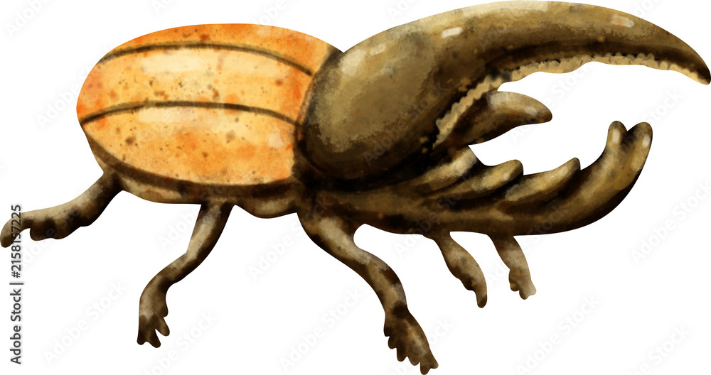 Naklejka premium Cute Hercules Beetle Watercolor Clip Art