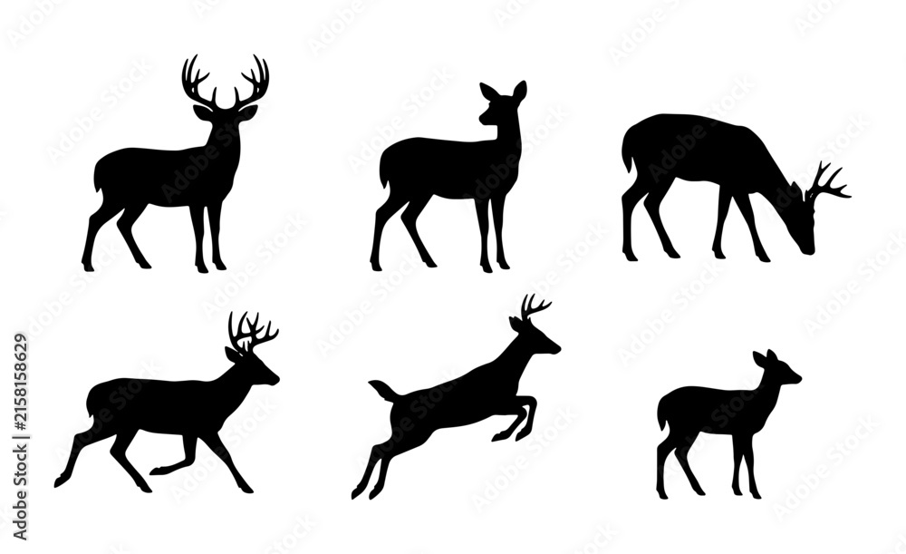 Fototapeta premium Deer Silhouettes Collection, Wildlife Animal Vector Icons, Forest Fauna Graphic Elements