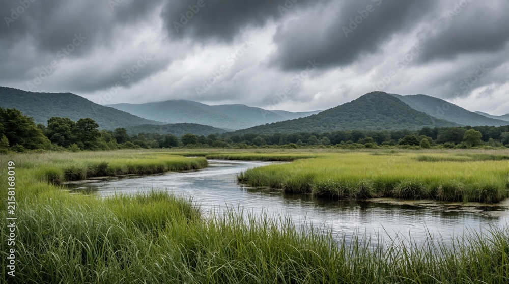 Fototapeta premium Tranquil American rural pond surrounded by rich greenery Majestic mountains, forests in background Partly cloudy skies above rays of sunlight breaking through Meandering stream cutting through grass