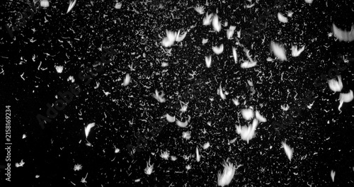 White feathers and particles drifting through dark air with motion blur