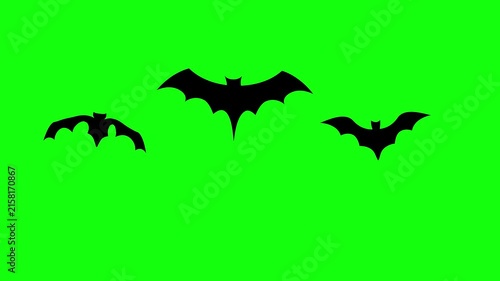 Flying Bat on Green Screen Chroma Key Halloween Animation 4K