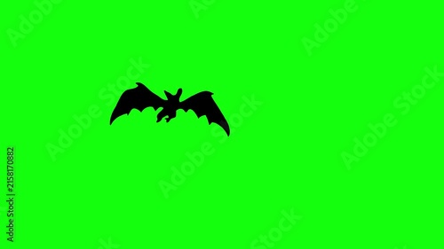 Flying Bat on Green Screen Chroma Key Halloween Animation 4K