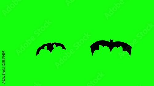 Flying Bat on Green Screen Chroma Key Halloween Animation 4K